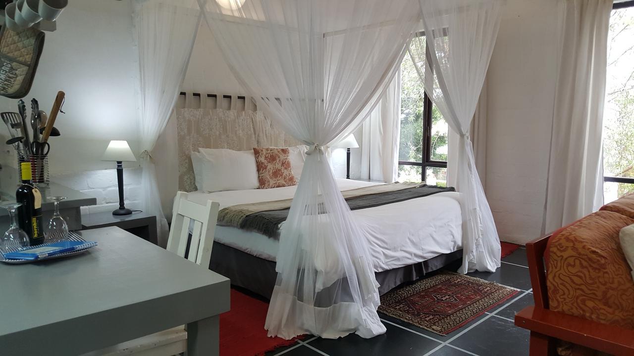 Hornbill House Self Catering Accommodation Hermanus Kültér fotó