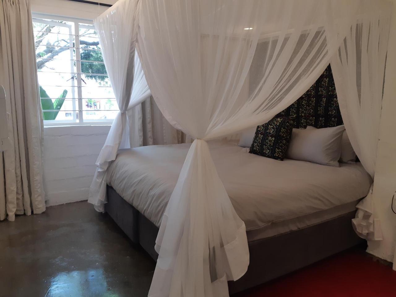Hornbill House Self Catering Accommodation Hermanus Kültér fotó