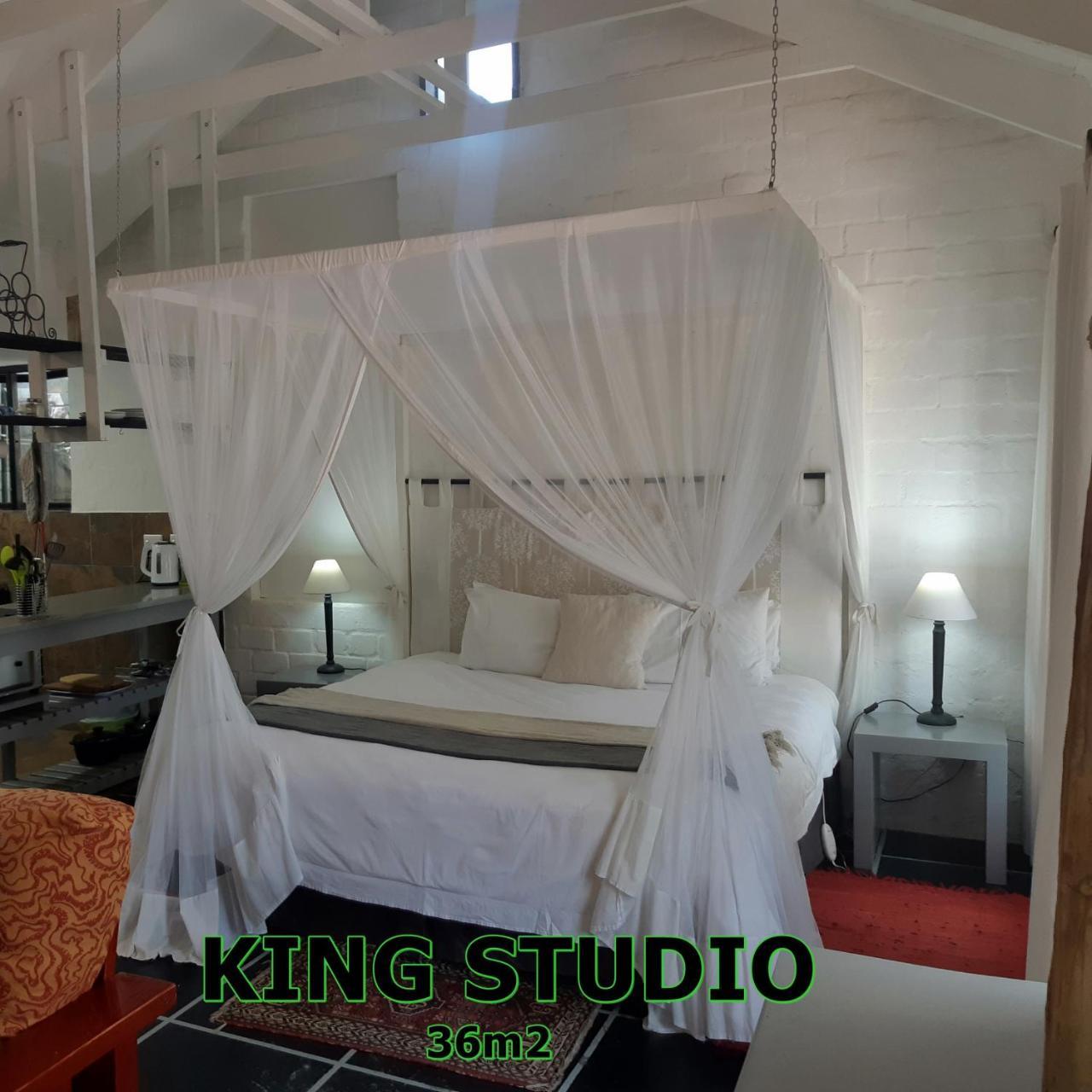 Hornbill House Self Catering Accommodation Hermanus Kültér fotó